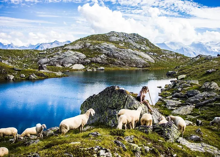 Frühstückspension Tuxerschafer